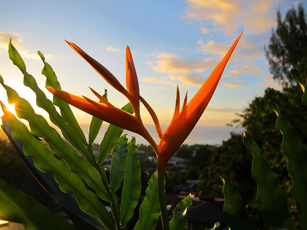 Bounty Lodge Tahiti Arue  Esterno foto