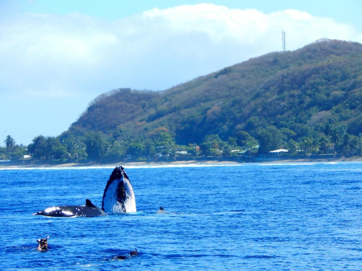 Bounty Lodge Tahiti Arue  Esterno foto